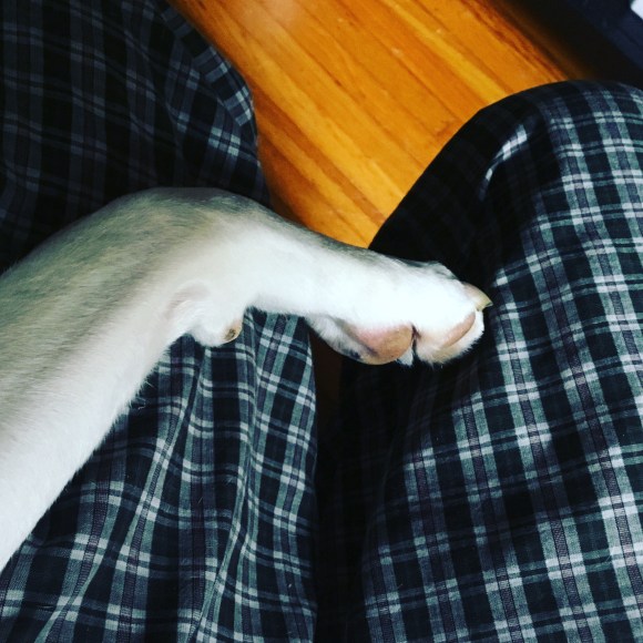 9A51DA80-3161-40DB-8F95-61BBBE5A1DEF